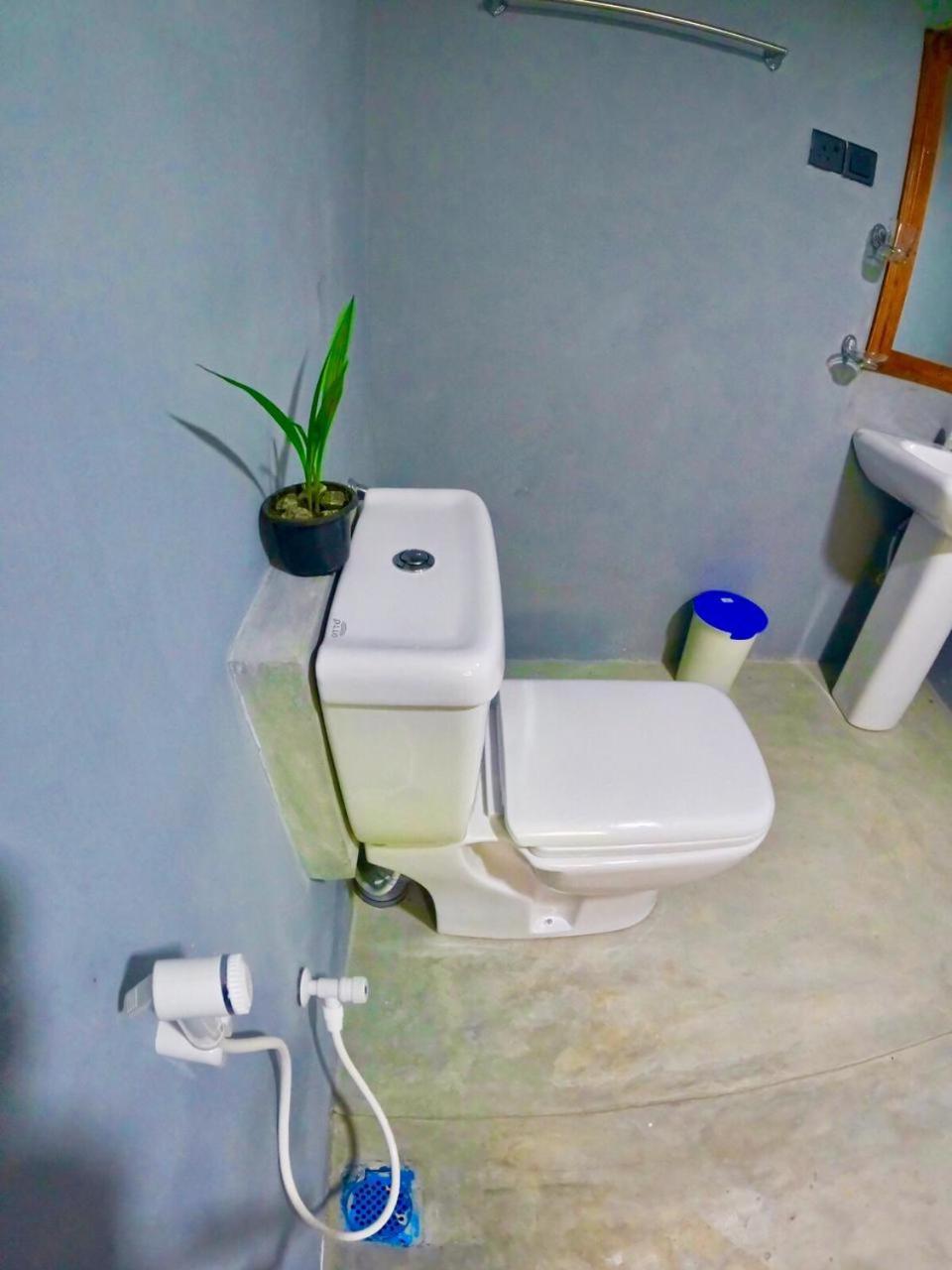 Ostello Surf Resort Ahangama Dış mekan fotoğraf