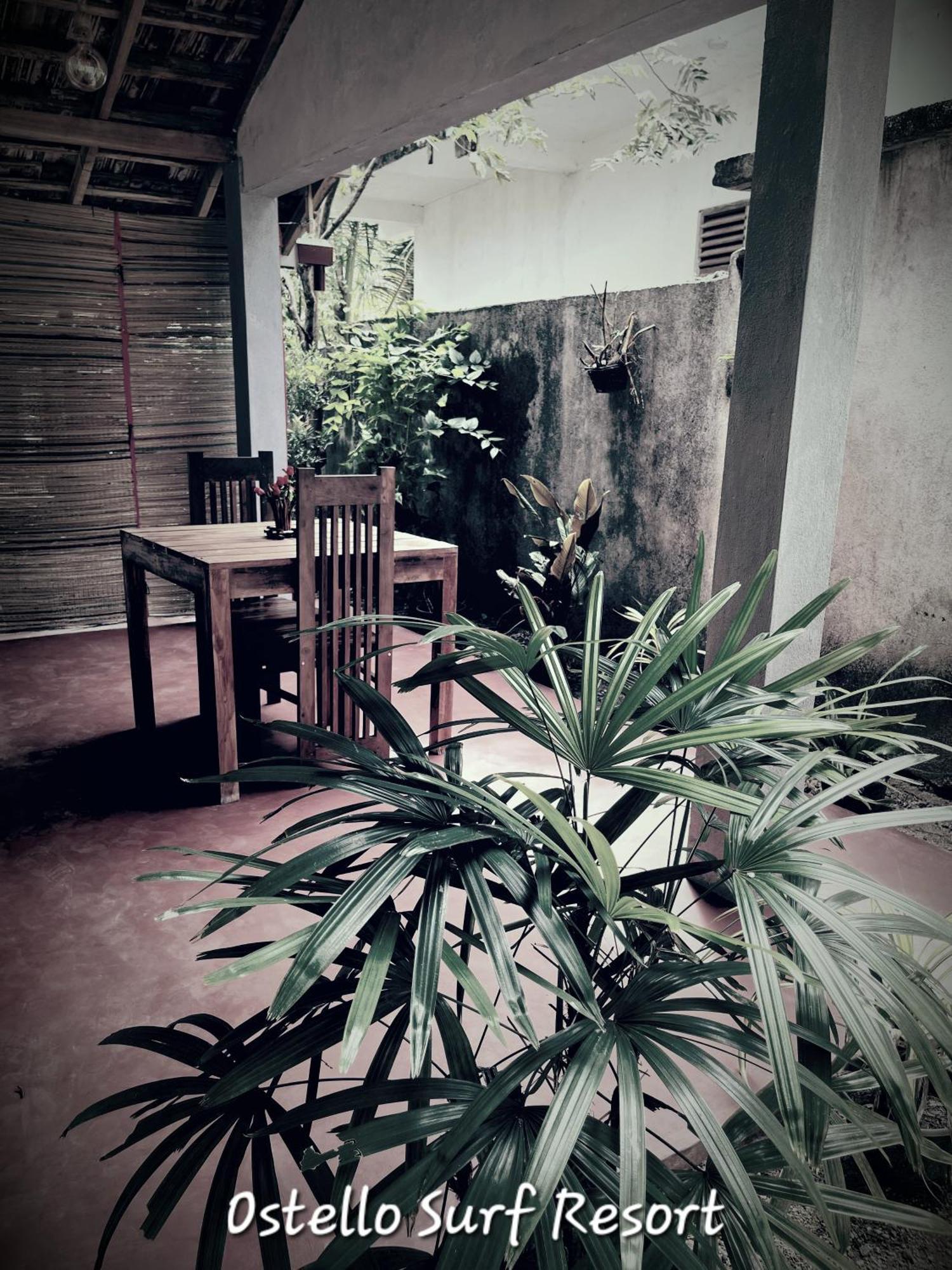 Ostello Surf Resort Ahangama Oda fotoğraf